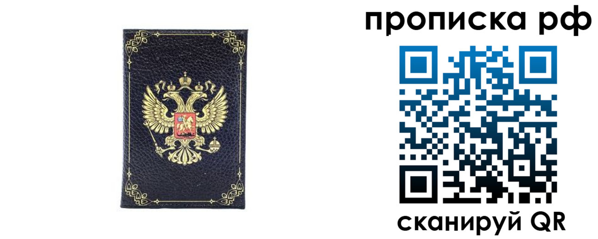 прописка для школы в Волгодонске